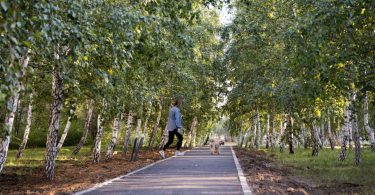 Свер по ул. Арыстанбекова